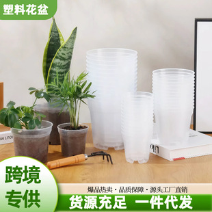 ���R�d����͸�������躬���� �羳�N�����������¿����������