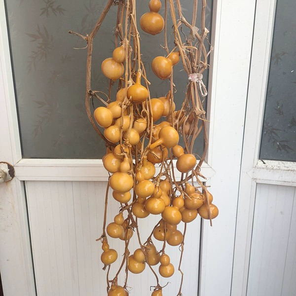 Богатая тыква с натуральными ветвями и ротангами