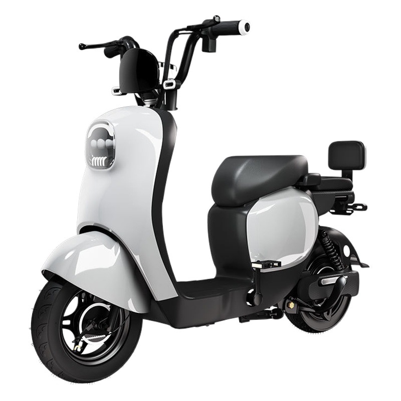 23 nuevo coche eléctrico estándar nacional hombres y mujeres tortuga motocicleta eléctrica de litio antirrobo doble Xingyue bicicleta eléctrica al por mayor