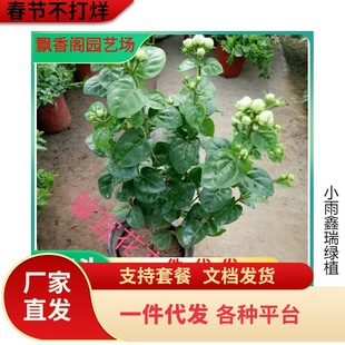 һ�����l��Ʒ���ͳ��ذ�ջ������� ������ �ջ����� ���Ի�