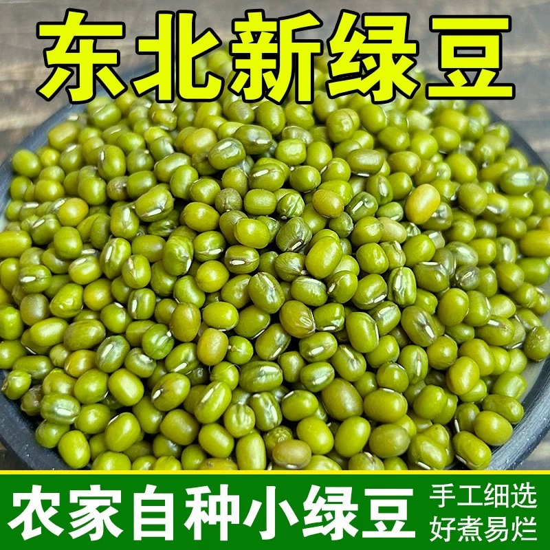 Каша из зеленой фасоли фермерского производства, новая зеленая фасоль, выращенная на ферме, которая может прорастать, каша из мелкой зеленой фасоли, летний суп из зеленой фасоли, смесь круп и бобов.