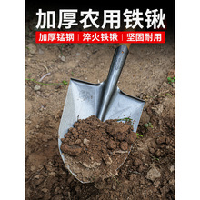 F@iF}ľrFPѩPߴȫN˼Ñ