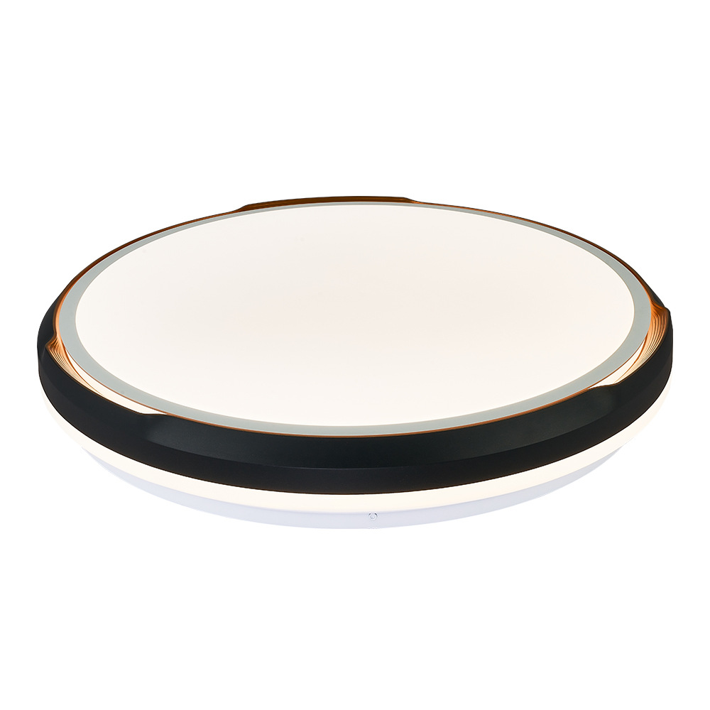 現(xiàn)代簡約LED吸頂燈智能遙控?zé)o極調(diào)光72W家用臥室燈客廳燈中山燈飾