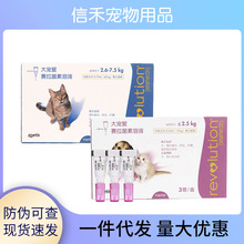 ؈؈wwx؈\xș΄x󌙐ͨ