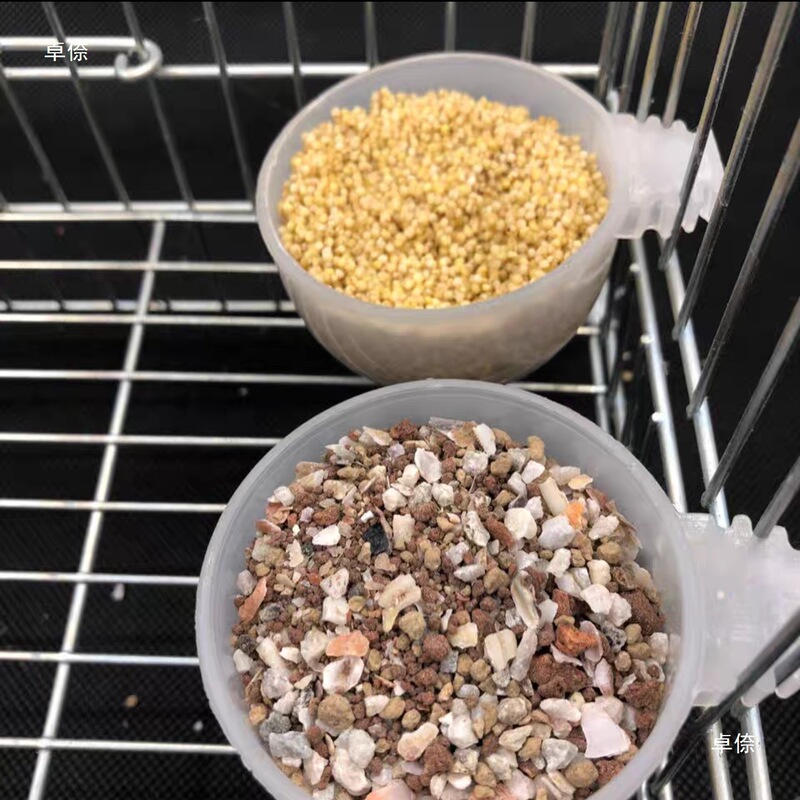 新しいラウンドオウムの卵ライスカップ鳥用給餌カップ鳥用フィーダー鳥用フードボウルフードボックス|undefined