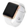 Local tyrant gold shell-white strap