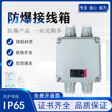 定制防爆接線箱135*135*90端子接線箱鋁鑄分線盒配電箱量大優惠