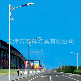 Manufacturer Produces Sales Street Light Pole 8m Single Arm Pole 9m Single Pick Rod Sodium Lamp Pole LED Hot Galvanized Light Pole