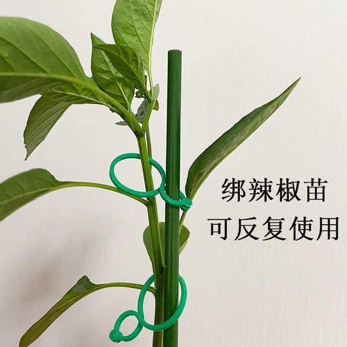 植物八字扣园艺多功能大棚蔬果秧苗葡萄藤蔓8字卡扣万能通用型夹