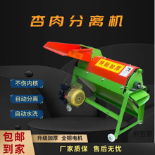 杏肉杏核去皮去核分离机家用山杏去皮机山核桃脱皮机打杏机器