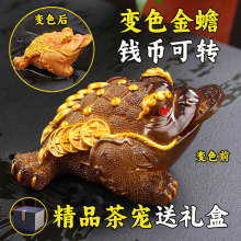茶宠金蟾可养变色摆件茶玩茶桌茶台金蝉装饰茶具配件貔貅