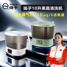 扬子果蔬清洗机家用臭氧水果蔬菜肉类消毒机净化器活氧果蔬机洗菜