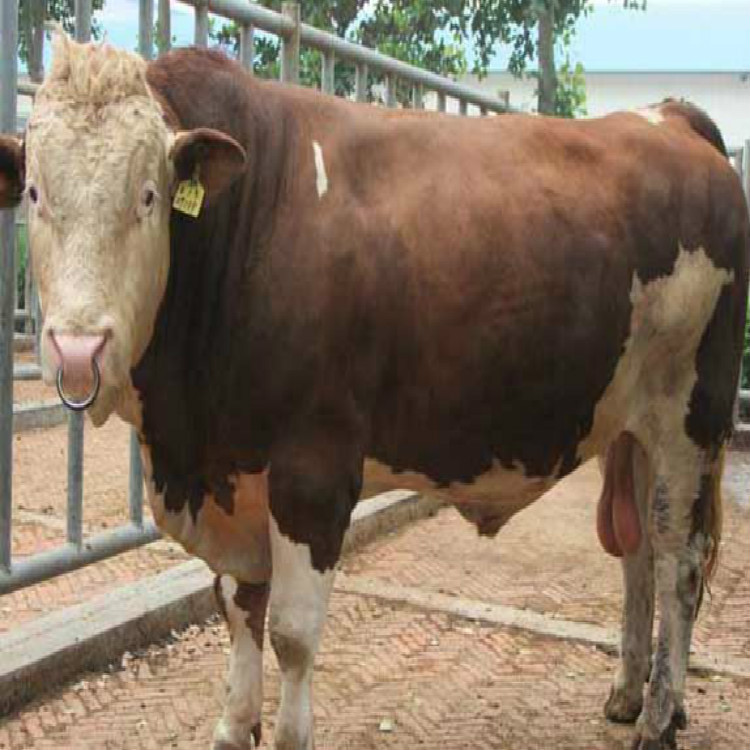 143H43609-0_meitu_13