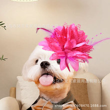 批发宠物小饰品红色婚庆玩偶头花胸花羽毛头饰婚庆店新娘头饰礼物
