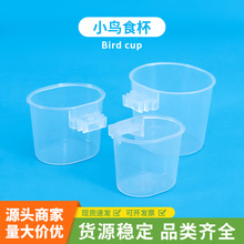 小圆碗鸟食碗绣眼玉鸟颠颏鸟用透明食盒鸟笼鸟食槽鸟食缸鸟用具