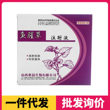 �~�Ȳ�ע��F����ĸ�a����Һ�i��aǰĸţ�a�󿵫F���~�Ȳ�ᘄ�