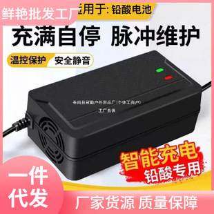 ��������ͨ�Ã�݆��݆늄�܇�ƿ܇�����48V60V72V96V20AH�ڹ���