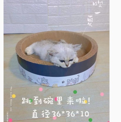 인스턴트 국수 그릇