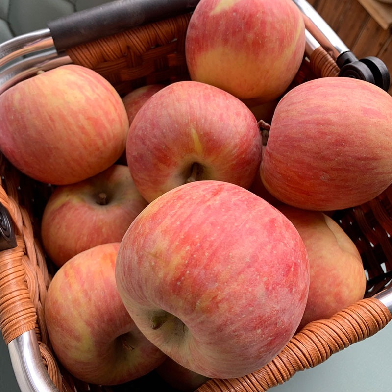 阿克苏冰糖心苹果脆甜多汁当季新鲜苹果现摘现发整箱5斤8斤礼盒装