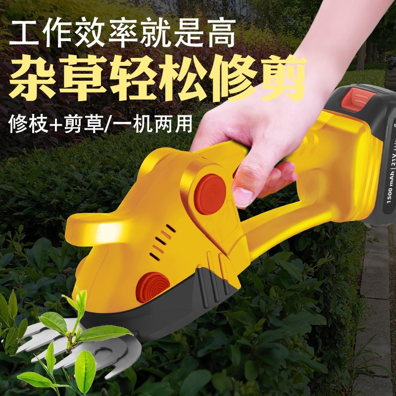 微信图片_2025-04-25_165959_729.jpg