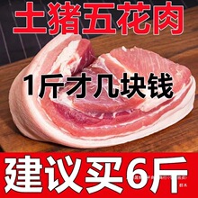 带皮五花肉猪肉新鲜大块现杀生猪农家散养三线五花生猪肉整箱猪排