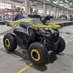 Shangye 125Cc bütün ərazi motosikleti, Zongshen mühərrikli dördtəkərli ATV, qar avtomobili