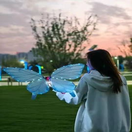 舞台灯;其他专用灯具;飞行器