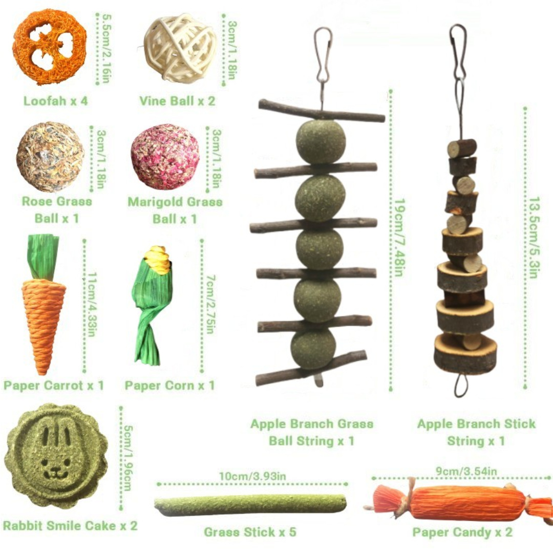 Juego de Juguetes Molares para Mascotas Pequeñas de Madera de Manzana