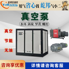 小型水环涡旋罗茨螺杆永磁变频医药化工食品包装用无油真空泵