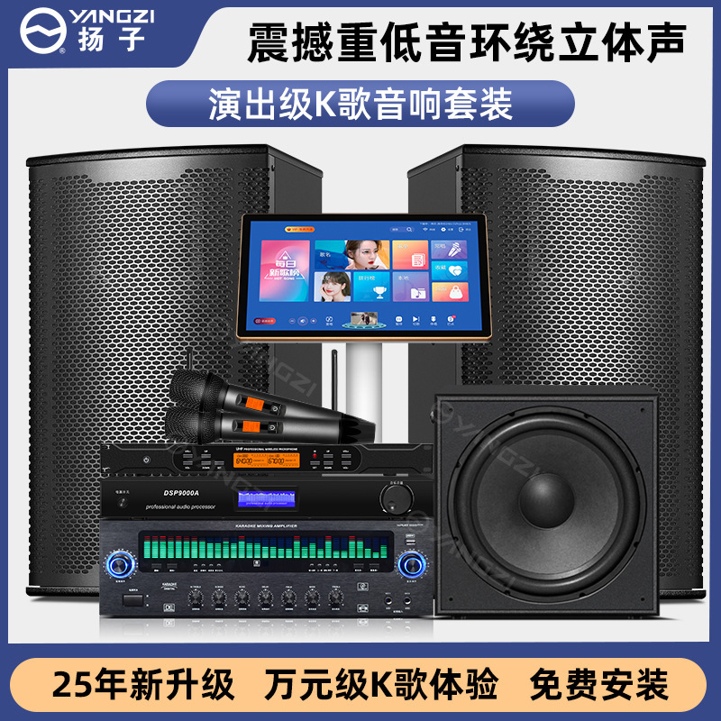 专业音响家庭KTV舞台演出清吧会议音箱带功放蓝牙话筒K歌高音质|undefined
