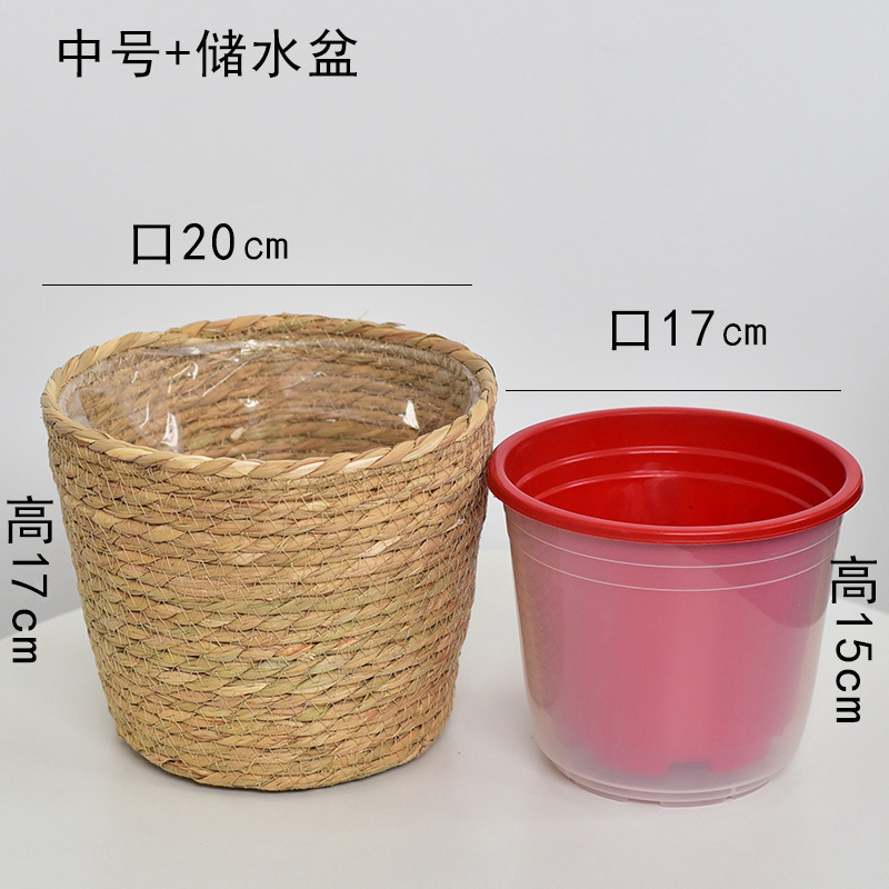 口20款+内盆