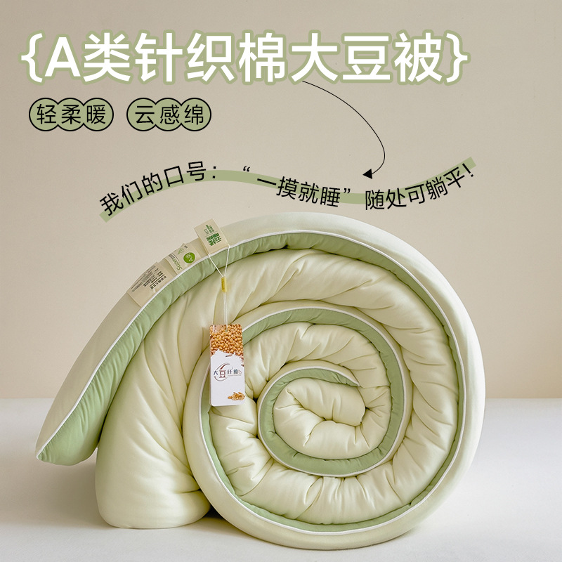 2025 New Type a Knitted Cotton Soybean Quilt Winter Quilt Spring & Fall Quilt All Year Round Quilt Core Soft Thickeneded Quilt