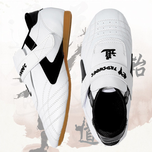 Taekwondo Shoes for Children (Girls) and Adults, Summer Taekwondo Shoes for Men, Soft Sole, Breathable Martial Arts Shoes, Training and Gungdo Shoes