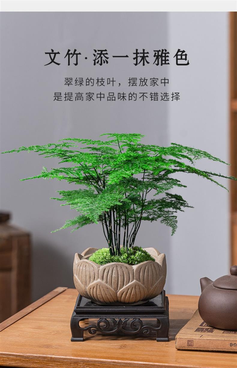 详情图