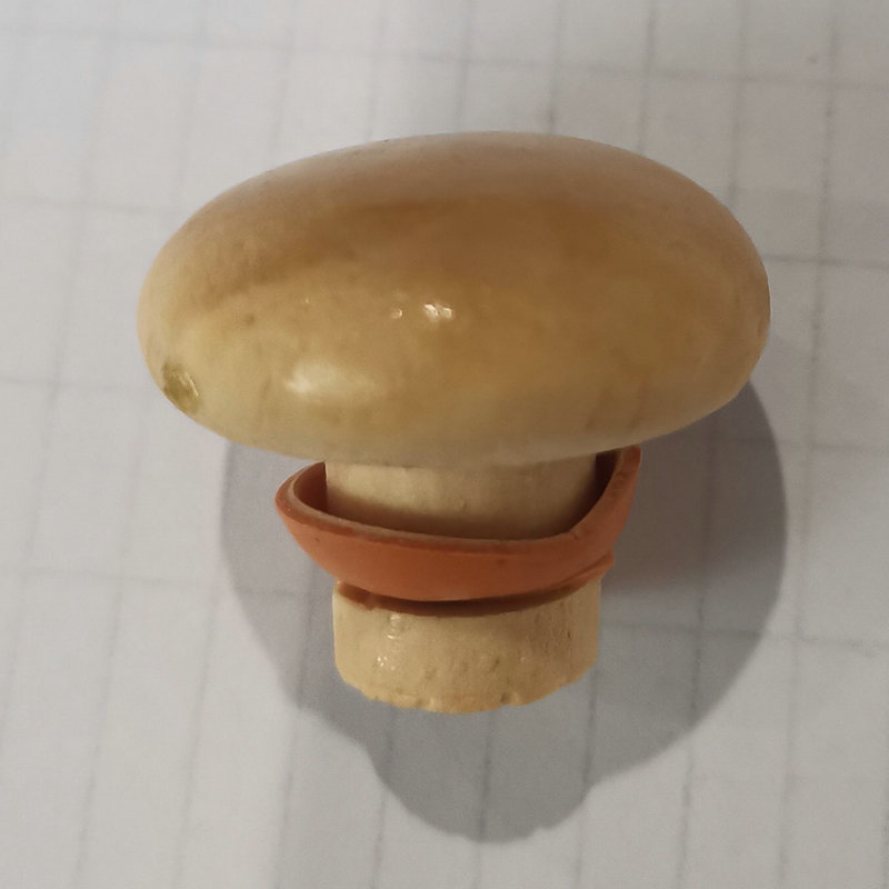 实木单孔木拉手柜门衣柜抽屉橱柜小拉手家居圆形蘑菇头圆木拉手