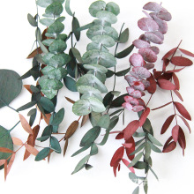 ����֦�~�Ĳ��ϰ����ɻ���޹Ϟ�Tֲ��˱������ƿ�ֹ�diy��