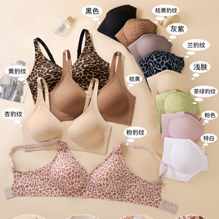 �羳��a�����lܛ֧�α��y���¾۔n��V�o�����ع̶�������͸��