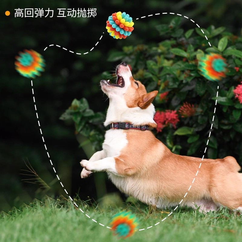 Nuevo color transfronterizo muelas de dientes limpiadores de dientes juguetes resistentes a la mordida bola de entrenamiento de perros para acompañar a perros grandes juguetes de mascotas image 2
