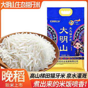 �V��һ��؈�����L������5�����������׳��L�i�r��z���׏V�|