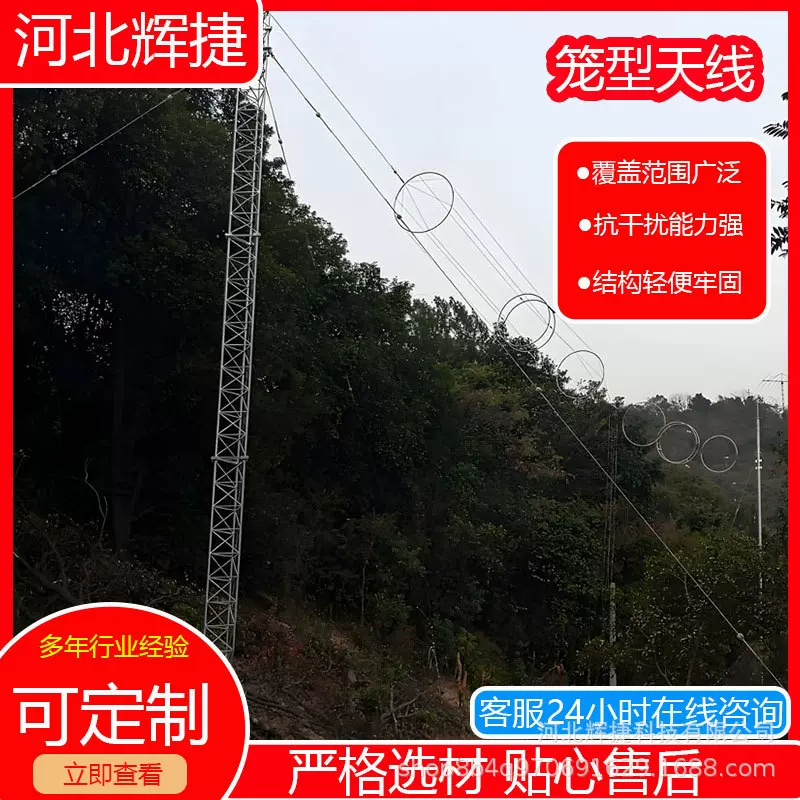 工厂定制生产笼形短波宽带天线固定台站短波通信搭建信号接收发射