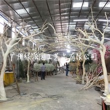 f}b͹ Ϳݘԭľɫݘݘ֦