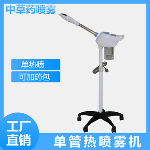 Lanqi Chinese herbal medicine face steamer beauty salon single ion thermal sprayer home hydrating beauty instrument