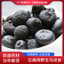 ��Ϟ��`�� ��؛�u�����������u���� �����R���߅���50��