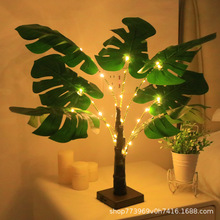 2024¿pݱWL~С҃bС̨