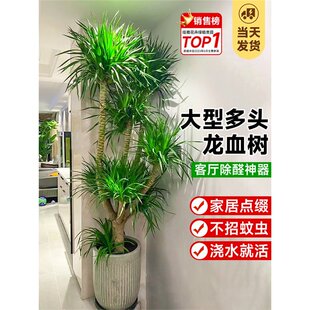 ��Ѫ��͏d�Gֲ���^��횘����F��͏d�Gֲ�҃ȴ�����Ѫ��ֲ������