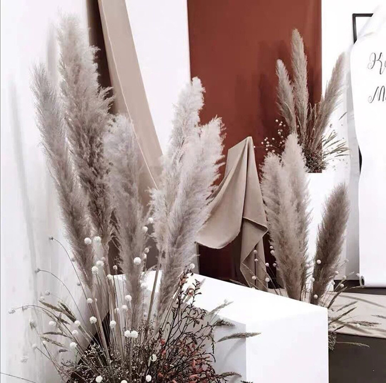 오리지널 컬러 대형 리드 1.2m 하이라이트 약 60cm