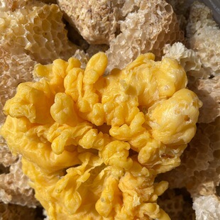 Beeswax natural yellow beeswax honeycomb melting edible grade clean lipstick lipstick raw material mahogany furniture maintenance