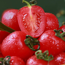 t}ŮNәСѸ߮a߲tNS}Ů߲