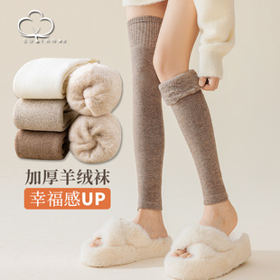 Autumn and winter cashmere socks winter fleece-lined warm over the knee long leg cover women's thickened knee pads lambskin stockings