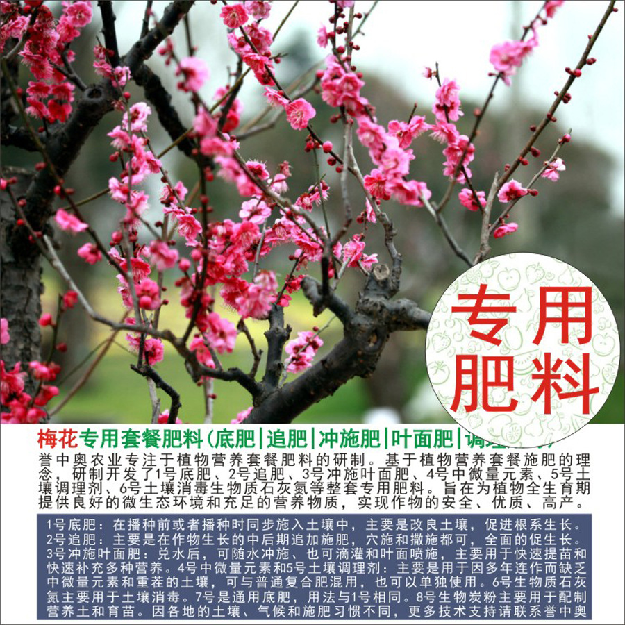 50�����а���÷��ר���л��ʸ��Ϸʵ׷�׷��Ҷ��ʳ�ʩ��ˮ�ܷ�